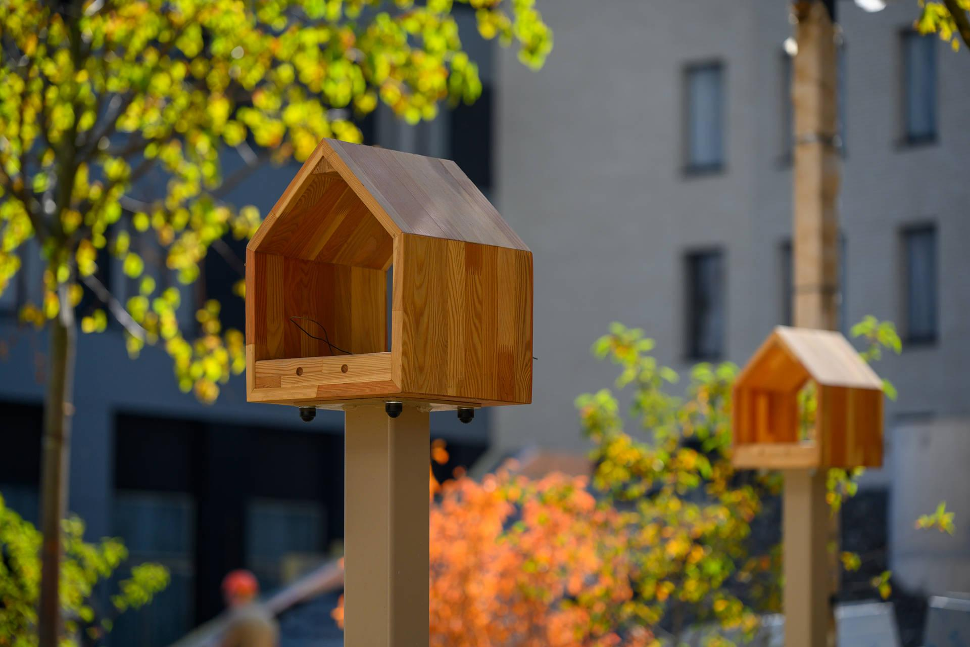 Сентябрь, 2025