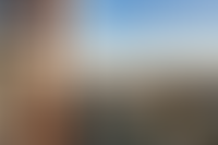 Описание изображения