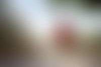 Описание изображения