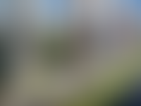 Описание изображения