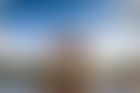 Описание изображения