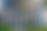 Описание изображения