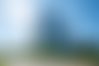 Описание изображения