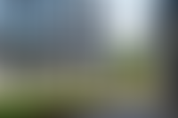 Описание изображения