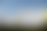 Галерея проекта