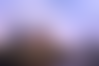 Галерея проекта