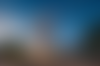 Галерея проекта