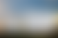 Описание изображения