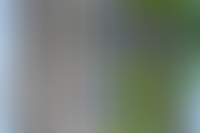 Описание изображения