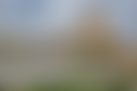 Описание изображения