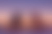 Левел Мечникова